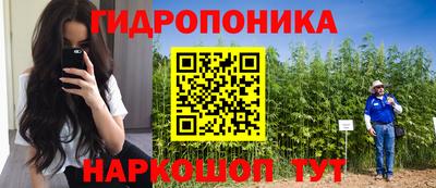 сатива Боровичи