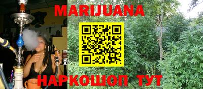 сатива Боровичи