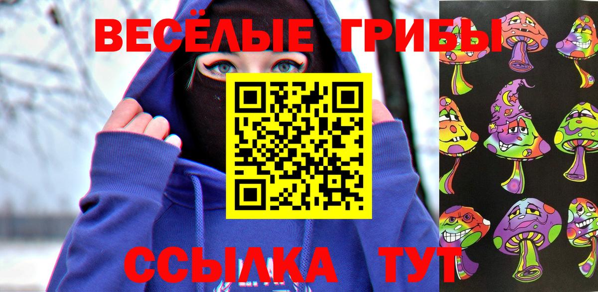 Галлюциногенные грибы Cubensis Кропоткин