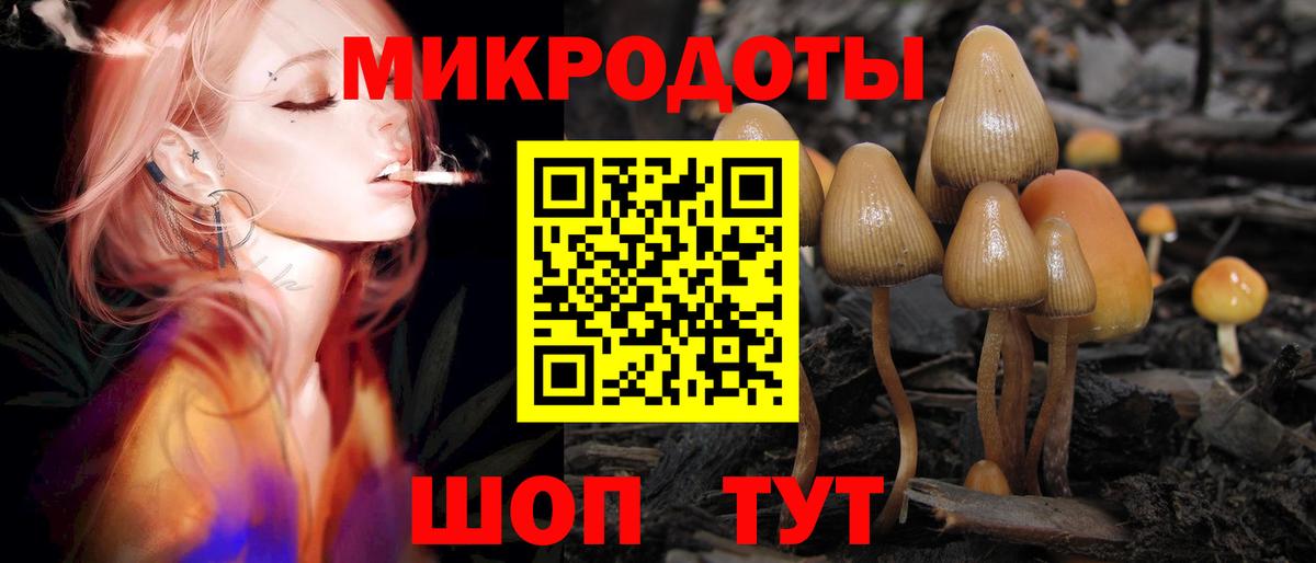 Галлюциногенные грибы мицелий  Вход с VPN  Галлюциногенные грибы мицелий  Кропоткин 