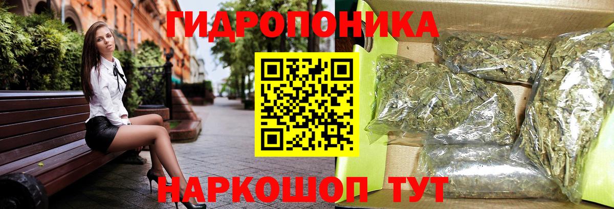 Бошки Шишки план Кропоткин